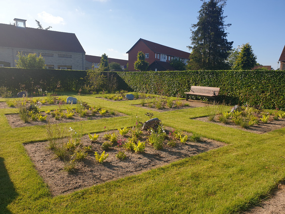 Urnegravsted i stauder